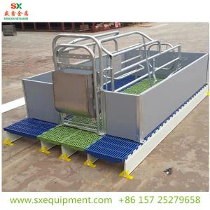 Farrowing Pen Cūku kastīte
